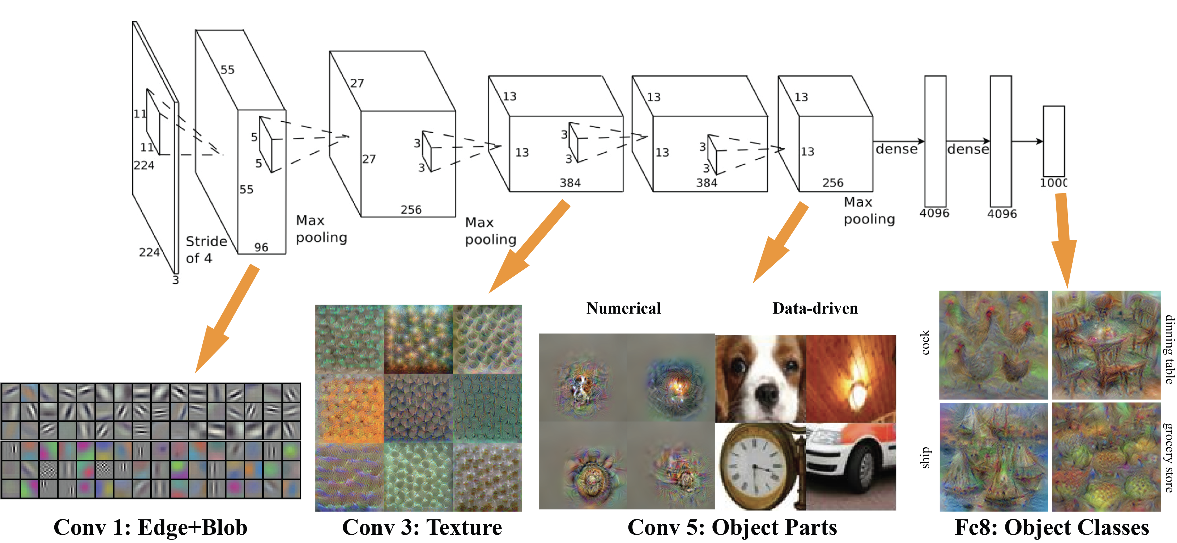 convolutional neural networks